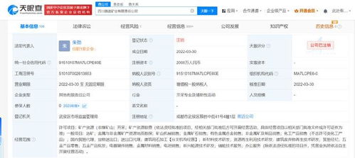 四川路橋比亞迪合資礦業公司注銷 跨界合作落幕，互聯網銷售模式下的礦業轉型反思