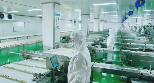 谷焙奇 以品質為基，守護食品安全的綠色承諾