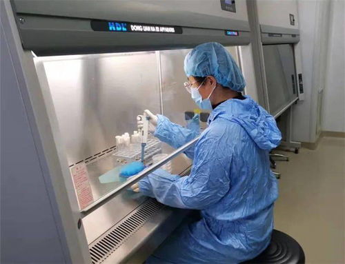 食品科學與檢測實驗中心順利通過病原微生物實驗室備案，開啟微生物檢測新篇章