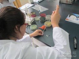 第11期食品微生物檢測實訓在煙臺順利開展 一線聚焦與精彩實錄